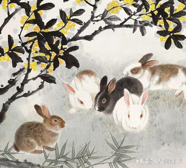 2025年贵人到来咸鱼翻身迟早有钱富贵的生肖恭喜上榜